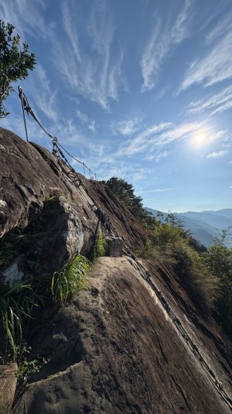 岩壁上的花、艷紅鹿子百合（12868991