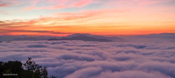 #石碇後山 #霞光 #日出 #雲海 #火燒雲 #魔目裳蛾 7/1&33080442