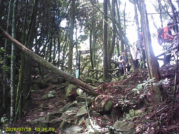 大雪山林道橫嶺山步道、橫嶺山、沙蓮山、笛吹山O繞3090393