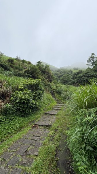 夢幻七星3074395