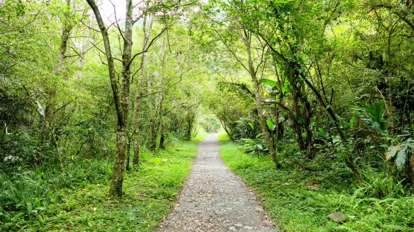 九寮溪自然步道2826878