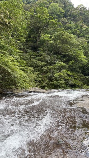 戲水（耘雲姊2786117