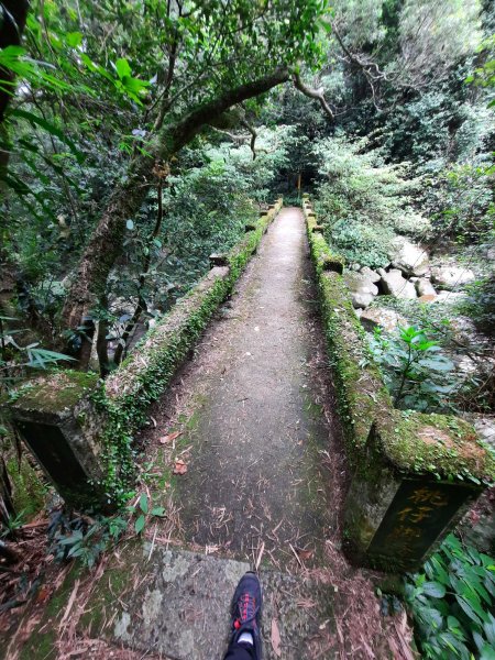 20230722 頂山石梯嶺縱走坪頂古圳，聖人瀑布2227227