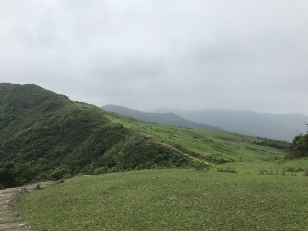 草嶺古道、桃源谷步道2124472