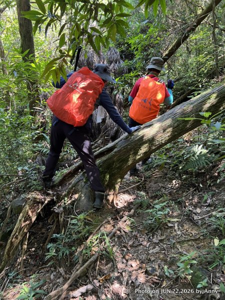 灣潭福德廟－南勢坑山－灣潭竹子山－七股古道－橫坪尾古道－灣潭古道－灣潭福德廟Ｏ形3079420