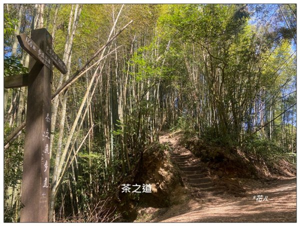 頂石棹步道群、樂野山、霹靂山 d型路線2749171