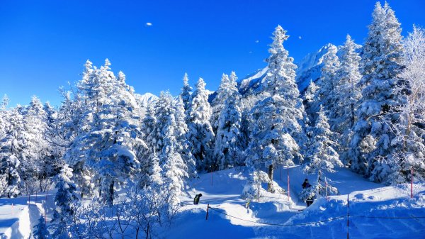 新穗高稜線的時光之索2982090