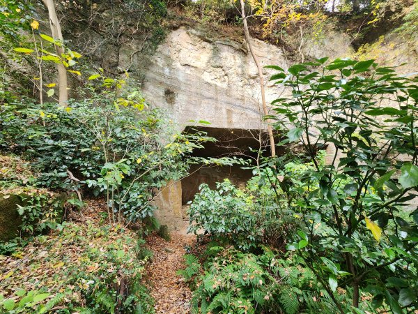 20251129鷹取山神武寺山2963965