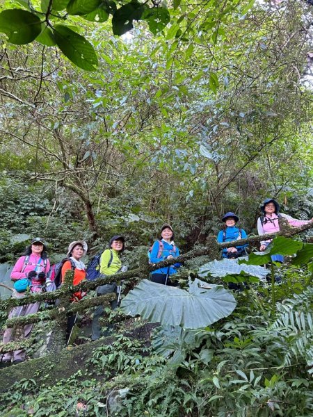 二格山走南邦寮山經草湳福德宮回二格公園3005535