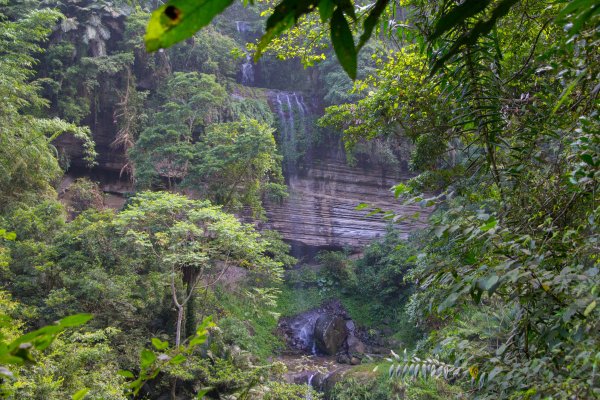 步道巡訪員 l 四天王山步道九月巡訪日誌1091888