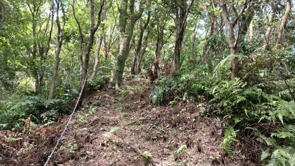 平溪區上天福安宮-粗坑頭崙-五分山西峰-五分山步道去回3088405