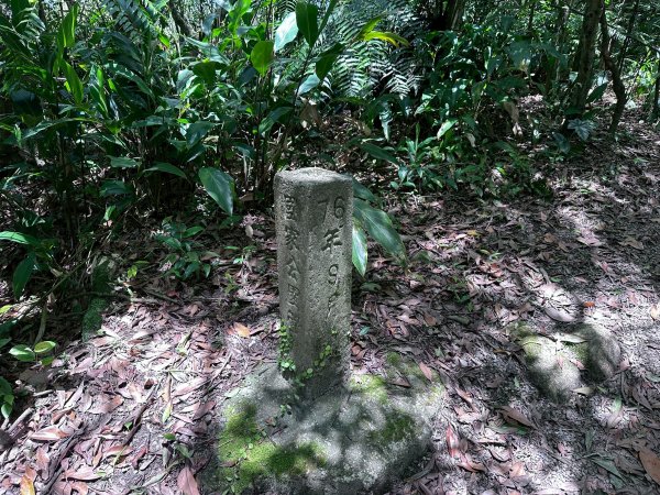 台北大縱走第四段2766861