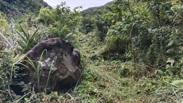 基隆市中山峽谷森林古道-外木山國旗嶺-大武崙山稜O型3117321