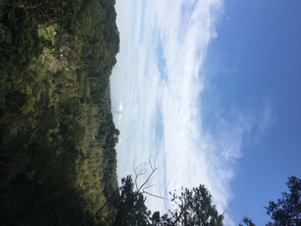 中興林場後山（鑰匙🔑認領2700430