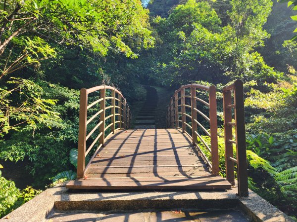 小百岳No.10⛰五分山2883139