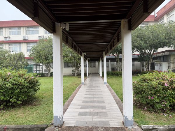 [樟之細路_第一大段RSA03] 2026_0329 石園3027053