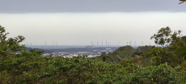 2025/01/04_鹿廚坑健行步道2683478