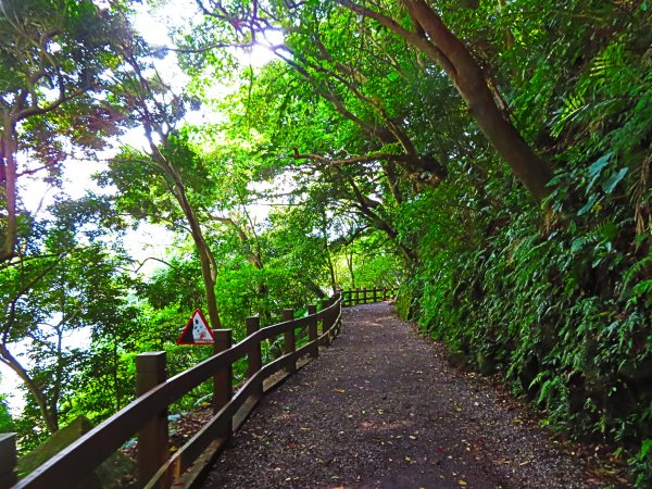 夏季清涼步道：翠峰瀑布與步道619575