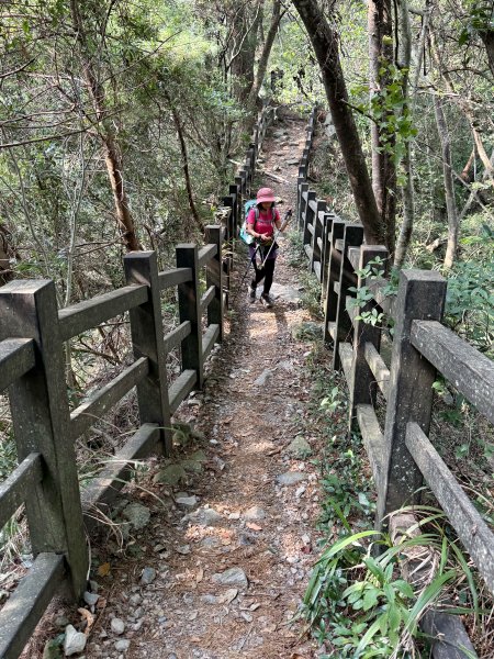 波津加山 202509142893395