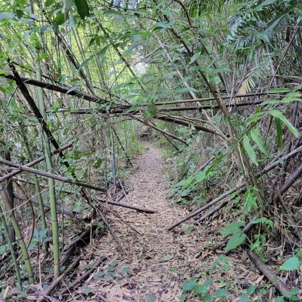 象鼻古道、千兩山步道2219254