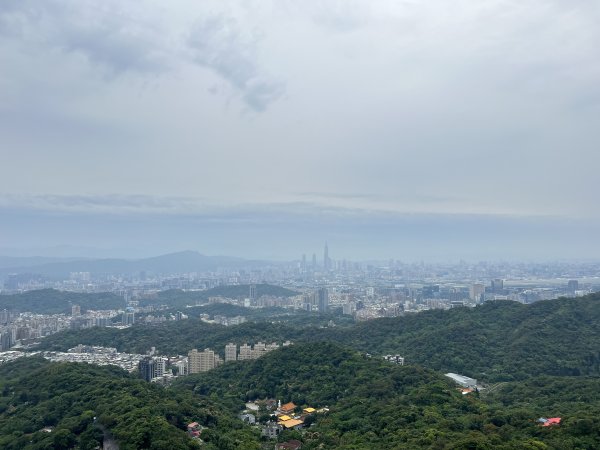 20230514-臺北大縱走第五段之巧遇藍鵲（碧山巖→劍潭捷運站）2150870