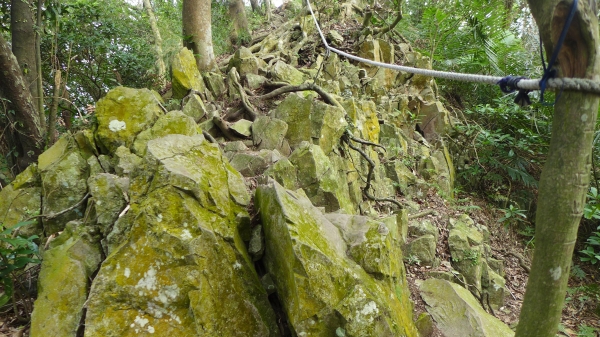 凌雲禪寺 -尖山-大峭壁-駱駝嶺-硬漢嶺25992