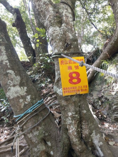 水雲三星之虎子山（虎山）1166524