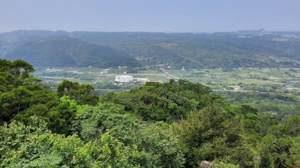 《苗栗》雙峰桐花｜雙峰山桐花賞景之旅202304292132785