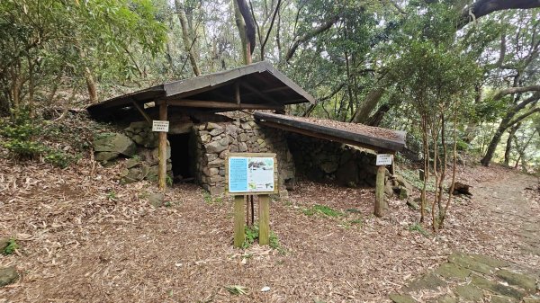 20260220大慈寺參拜道-四十基石-中正山-中正山東南峰3002844