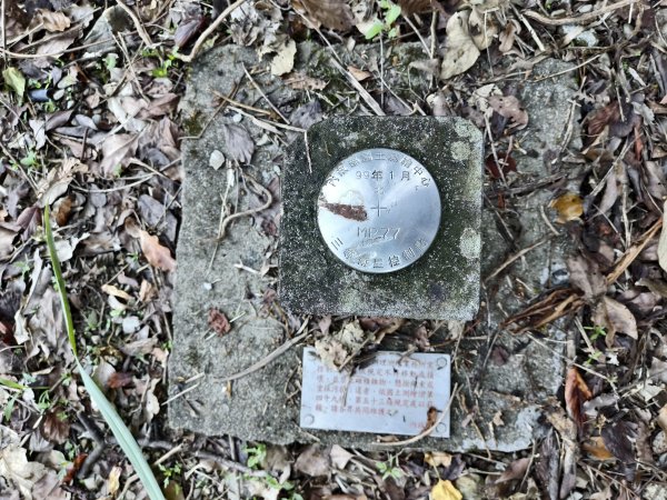 [玉山尋寶任務-07/12] 2025_0824 八通關雲龍瀑布步道2870379