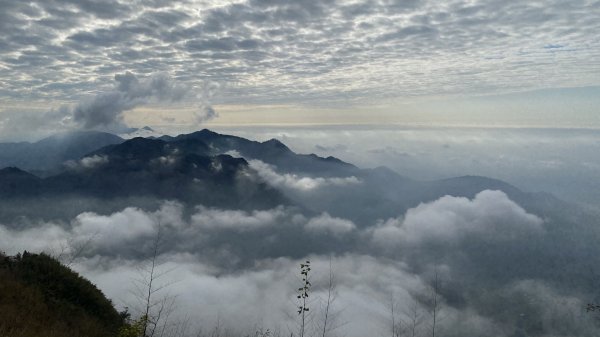 20250119二延平步道2716355