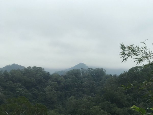獅頭山、猿山、獅尾山三連走525984