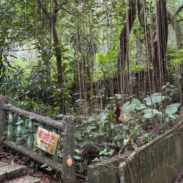 劍潭山+老地方觀機平台2922607