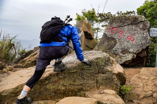 新竹石牛山步道｜小百岳2756534