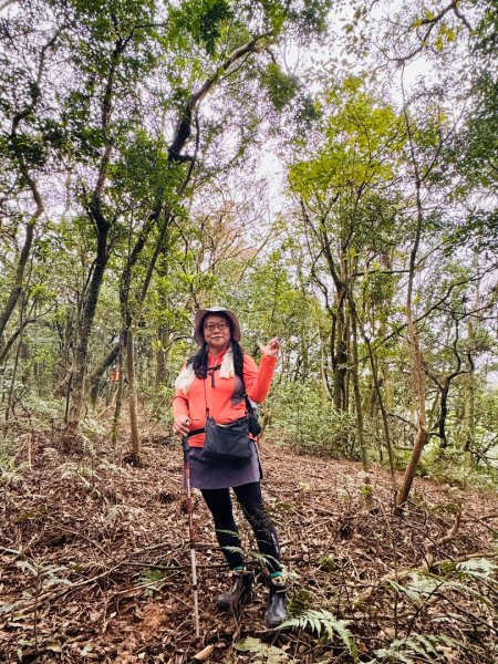 登峰古圳訪高頂山 北五指山 出荷蘭古道 快閃聖人瀑布2981975