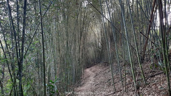 《南投》古道巡禮｜八通關古道社寮線蜈蚣崙段202511152937055