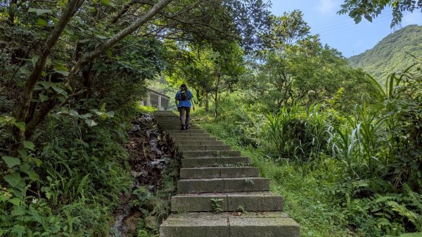 114.05.30大粗坑古道-金瓜石山-小粗坑山之旅2799439