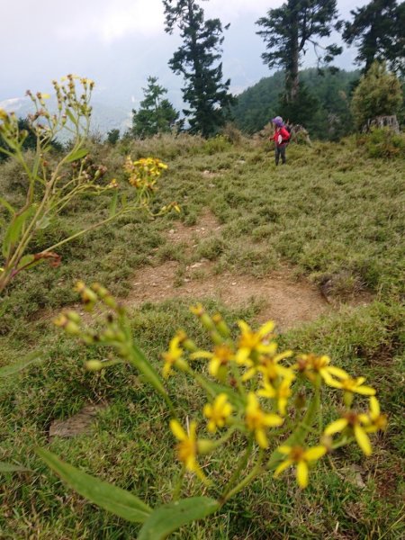 平多o走（平岩山，多加屯山，勝光山）1849631