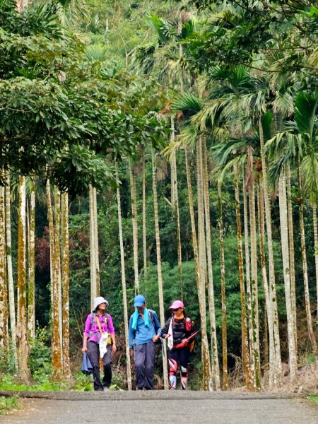 雲嘉大尖山、二尖山步道--(雲林)臺灣百大必訪步道2955776