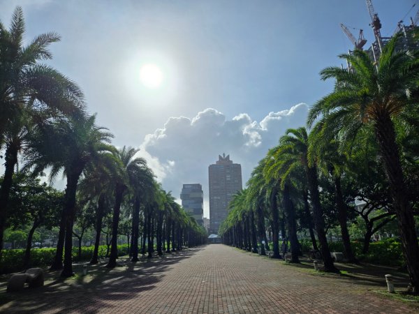 凹子底森林公園2834874