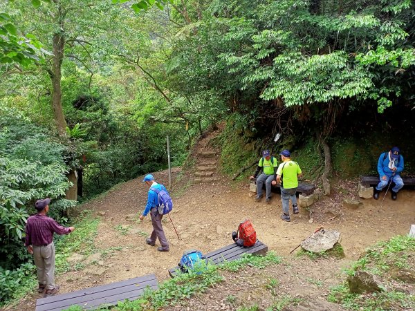 【小百岳集起來】#017 二格山→猴山岳→草湳1692019