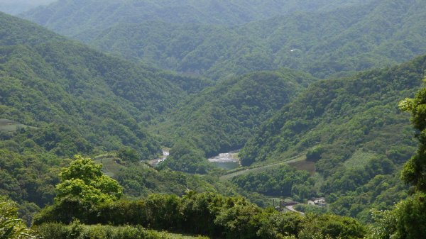 獅公髻尾山登山健行趣（郊山）1577797