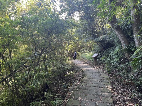 [走遍陽明山]2023_0910_大崎頭步道2279445