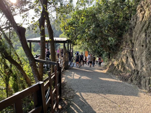 大坑9-1號步道2732241