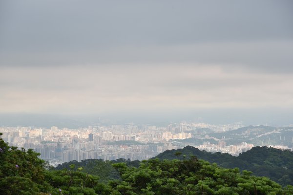 樹林大棟山／小百岳0151408550