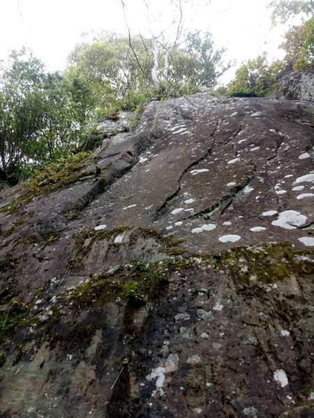 泰安水雲三星之橫龍山1909748