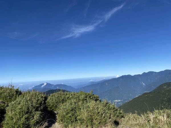 合歡山東峰3065457