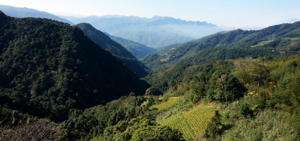 三峽三星之志繼山596477