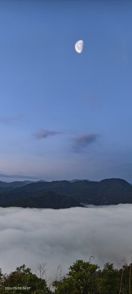 #翡翠水庫壩頂 #月亮 #日出 #雲海 #藍腹鷴母鳥 5/8&133050266