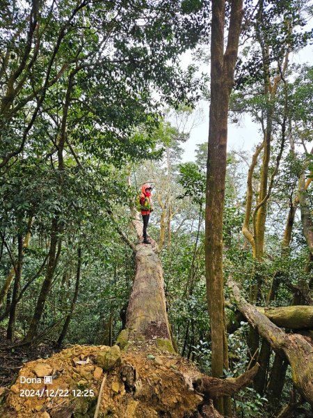 【苗栗郊山聖稜線】仙神象18連峰大縱走2675886
